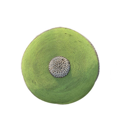 Green Beaded Shield