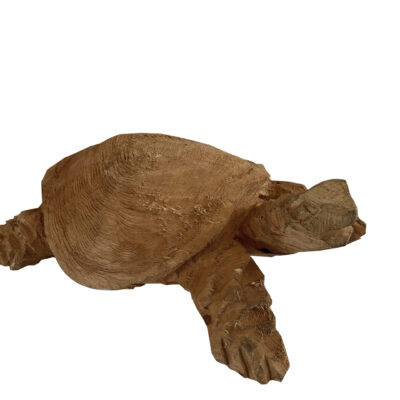 turtle small