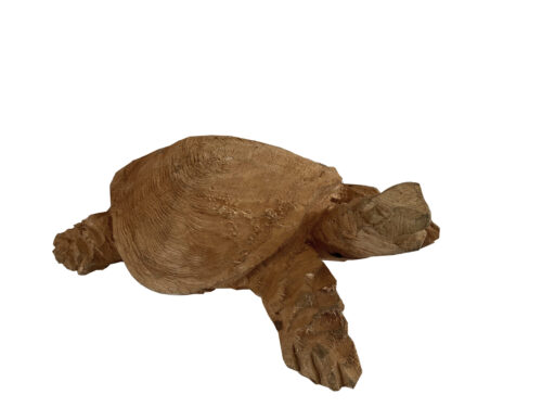 turtle small